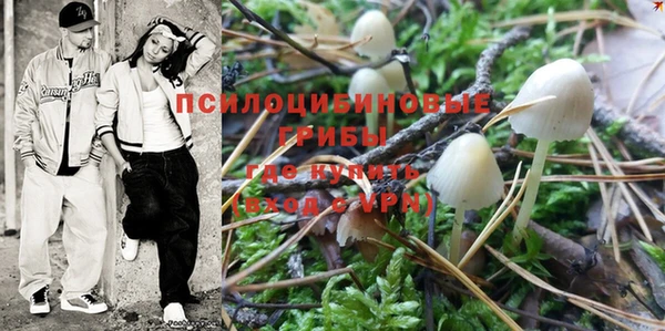 винт Алексин