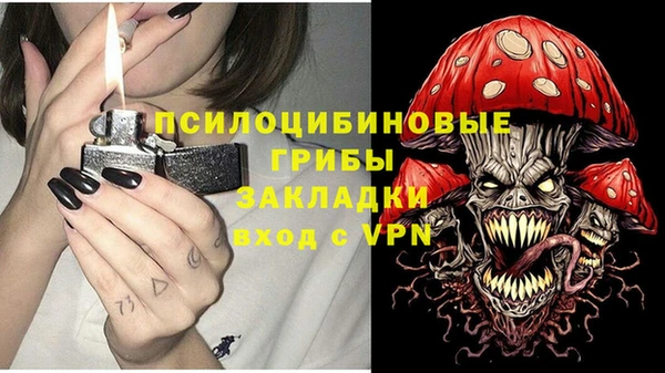 PSILOCYBIN Алексеевка