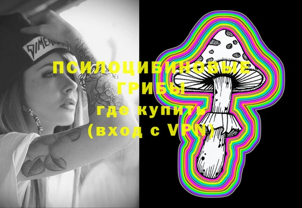 хмурый Абаза