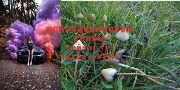 PSILOCYBIN Алексеевка